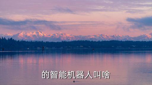 智能語(yǔ)音交互機(jī)器人品牌,機(jī)器人的語(yǔ)音交互功能