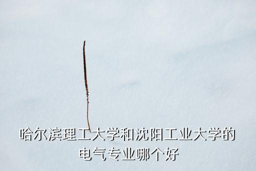  哈爾濱理工大學(xué)和沈陽工業(yè)大學(xué)的 電氣專業(yè)哪個(gè)好