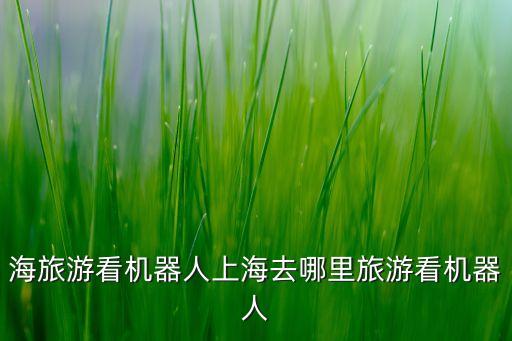 科技館機(jī)器人現(xiàn)狀,蘇州機(jī)器人科技館