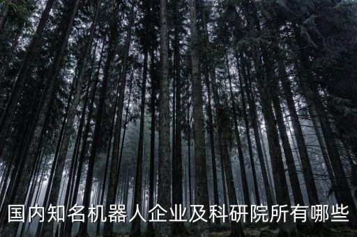 國內(nèi)知名機(jī)器人企業(yè)及科研院所有哪些