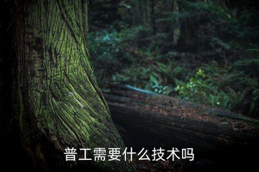 普工需要什么技術(shù)嗎