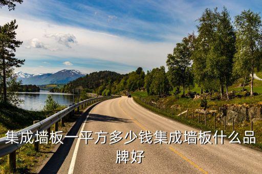 半自動(dòng)化集成墻板設(shè)備價(jià)格,集成墻板一平方多少錢(qián)?看這里!