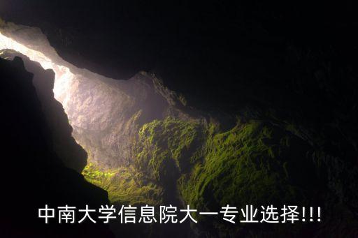 中南大學(xué)信息院大一專業(yè)選擇!!!
