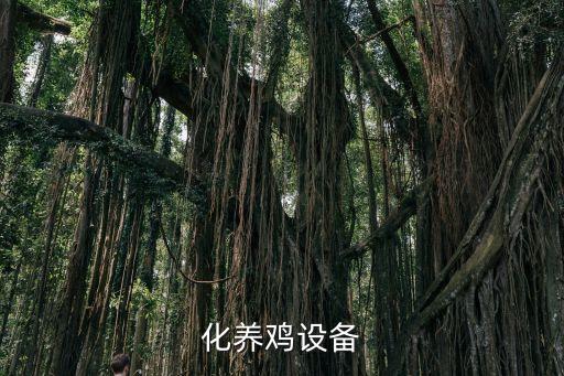 化養(yǎng)雞設備