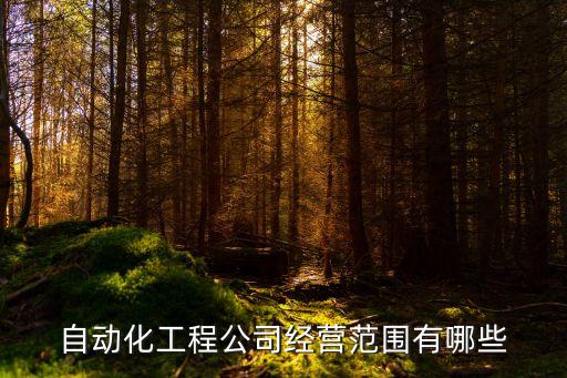 自動化工程公司經(jīng)營范圍有哪些