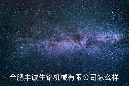 合肥豐誠生銘機(jī)械有限公司怎么樣