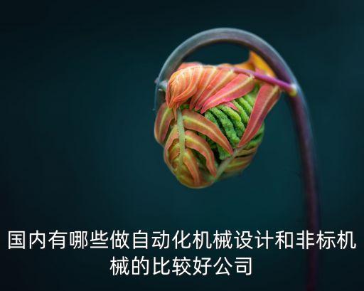 國內(nèi)有哪些做自動(dòng)化機(jī)械設(shè)計(jì)和非標(biāo)機(jī)械的比較好公司