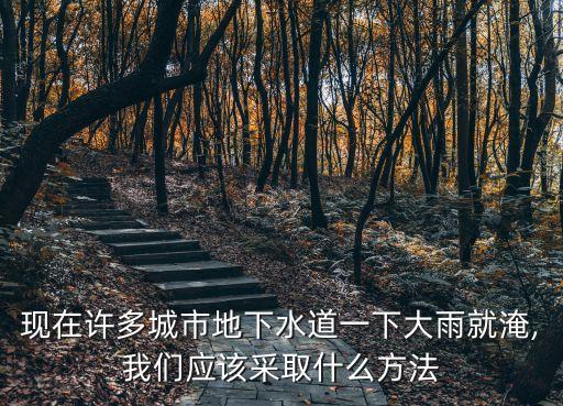 現(xiàn)在許多城市地下水道一下大雨就淹,我們應(yīng)該采取什么方法