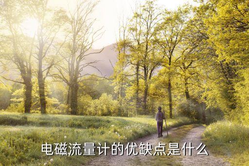 電磁流量計(jì)的優(yōu)缺點(diǎn)是什么