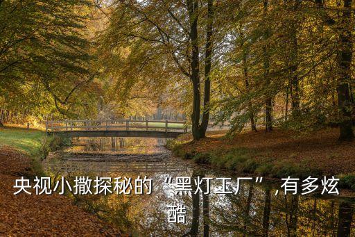 央視小撒探秘的“黑燈工廠”,有多炫酷