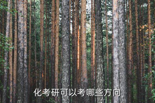 化考研可以考哪些方向