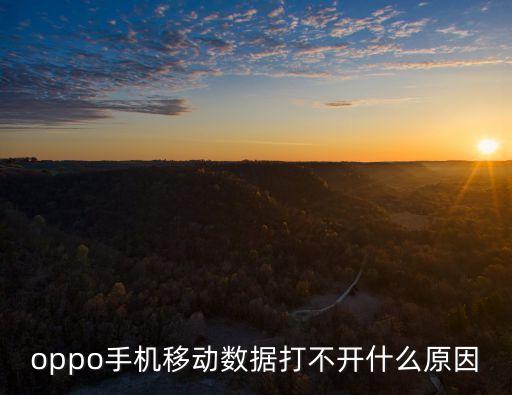 oppo手機移動數據打不開什么原因