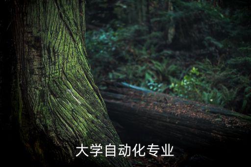 大學自動化專業(yè)