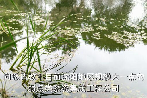 沈陽拓峰自動化有限公司,洛陽拓豐自動化科技有限公司
