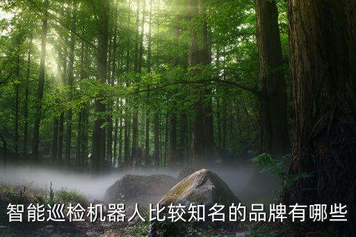 礦用巡檢機(jī)器人,防爆巡檢機(jī)器人有哪些你需要的東西?