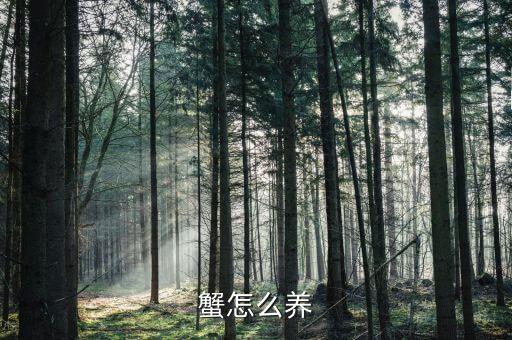 蟹怎么養(yǎng)
