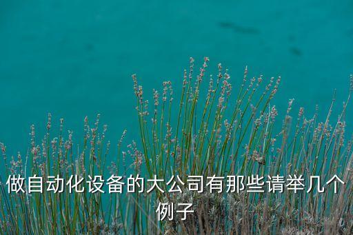 常德市自動化設(shè)備公司,十大自動化設(shè)備公司