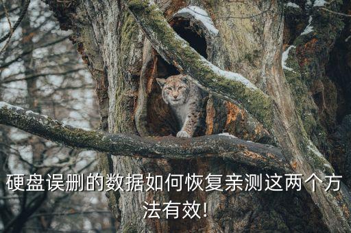 數(shù)據(jù)恢復(fù)軟件的方法,免費(fèi)數(shù)據(jù)恢復(fù)軟件