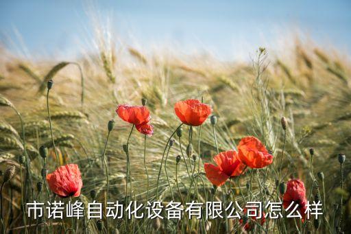 市諾峰自動化設(shè)備有限公司怎么樣