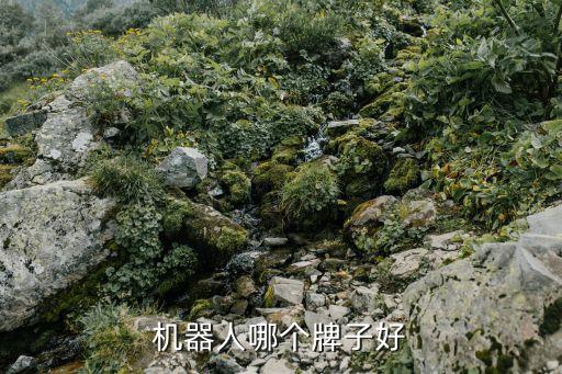 機(jī)器人哪個(gè)牌子好