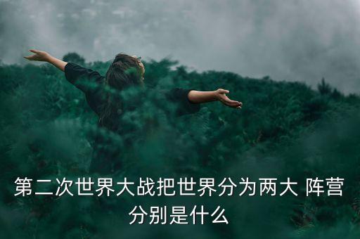 陣營(yíng)