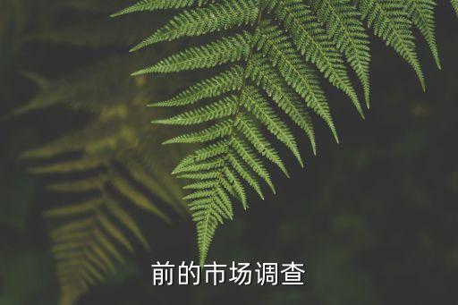 前的市場調查