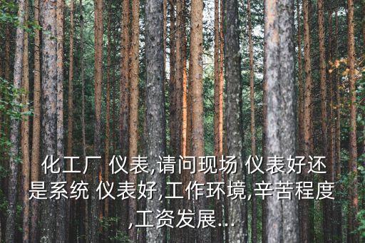  化工廠 儀表,請問現(xiàn)場 儀表好還是系統(tǒng) 儀表好,工作環(huán)境,辛苦程度,工資發(fā)展...