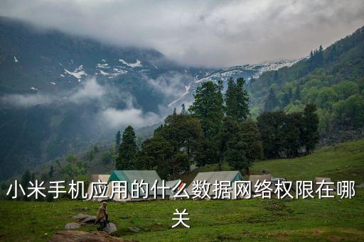 小米手機(jī)應(yīng)用的什么數(shù)據(jù)網(wǎng)絡(luò)權(quán)限在哪關(guān)