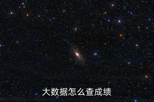 大數(shù)據(jù)怎么查成績(jī)