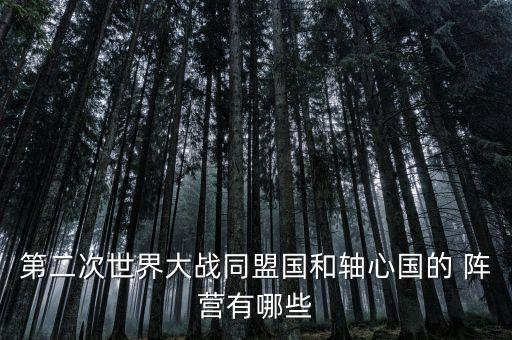 第二次世界大戰(zhàn)同盟國和軸心國的 陣營有哪些