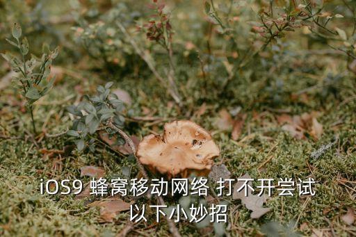 蘋(píng)果手機(jī)蜂窩移動(dòng)數(shù)據(jù)打不開(kāi)