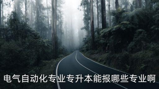 電氣自動(dòng)化專業(yè)專升本能報(bào)哪些專業(yè)啊