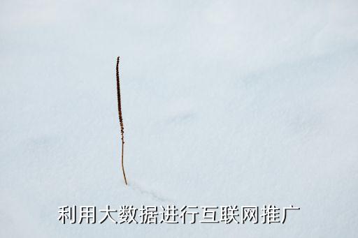 利用大數(shù)據(jù)進(jìn)行互聯(lián)網(wǎng)推廣