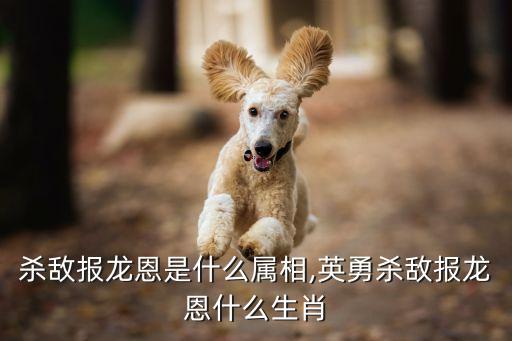 殺敵報龍恩是什么屬相,英勇殺敵報龍恩什么生肖