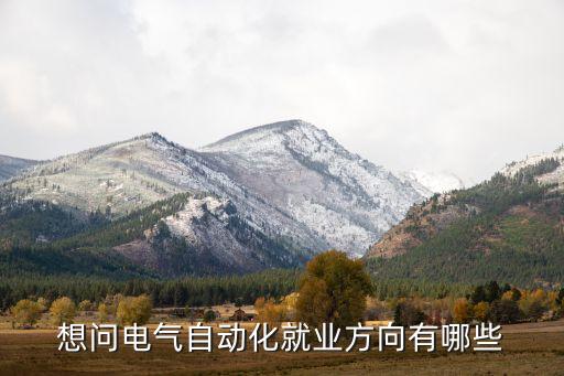 想問電氣自動化就業(yè)方向有哪些