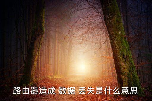 無線摩登數(shù)據(jù)丟失怎么辦