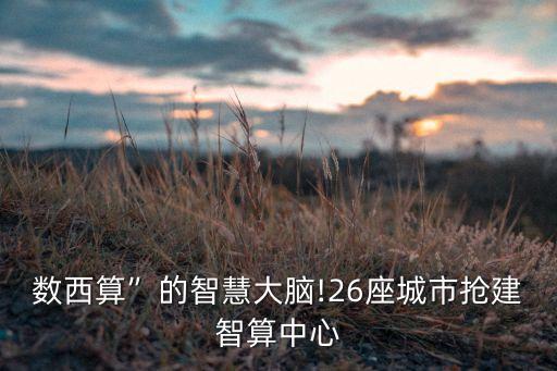 全國一體化數(shù)據(jù)中心,建設國家一體化大數(shù)據(jù)中心協(xié)作