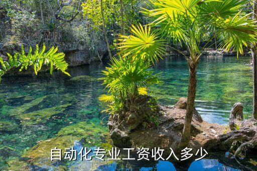 自動(dòng)化專業(yè)工資收入多少