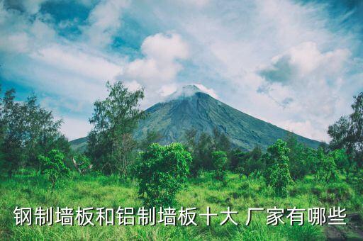 鋼制墻板和鋁制墻板十大 廠家有哪些