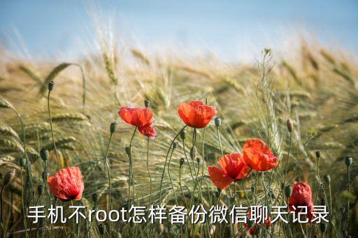 手機(jī)不root怎樣備份微信聊天記錄