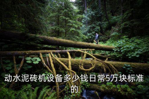 動(dòng)水泥磚機(jī)設(shè)備多少錢日常5萬(wàn)塊標(biāo)準(zhǔn)的