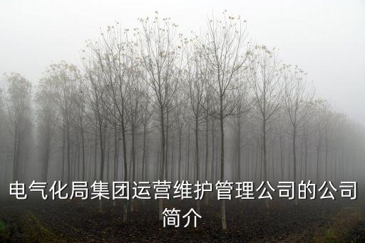 津誠電氣自動化,桐鄉(xiāng)成控電氣自動化