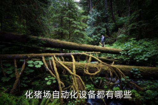 化豬場(chǎng)自動(dòng)化設(shè)備都有哪些