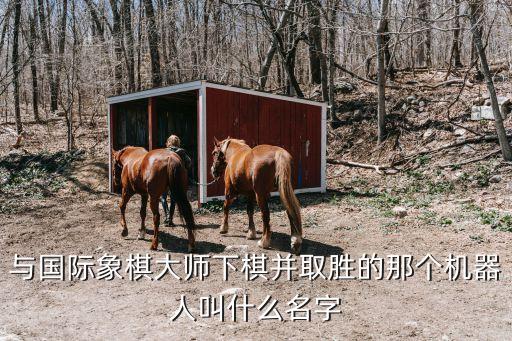 與國際象棋大師下棋并取勝的那個機器人叫什么名字