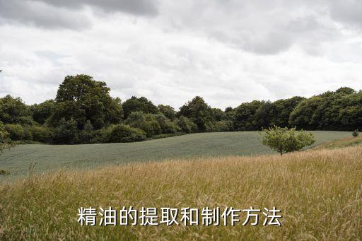 玫瑰精油提取設(shè)備自動(dòng)化,提取玫瑰精油后如何取出玫瑰?