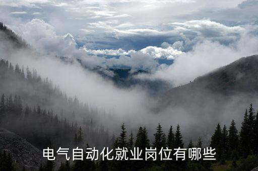 自動化專業(yè)畢業(yè)去什么廠,自動化專業(yè)學(xué)生畢業(yè)去哪些公司?