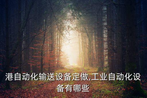 連云港自動化輸送設備定做,工業(yè)自動化設備有哪些?