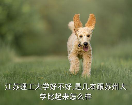 江蘇理工自動(dòng)化專業(yè)怎么樣,江蘇理工大學(xué)有哪些專業(yè)?