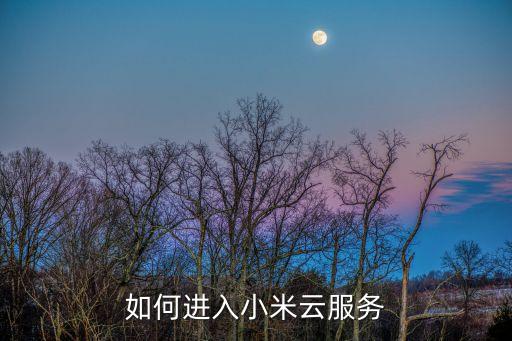 如何進(jìn)入小米云服務(wù)