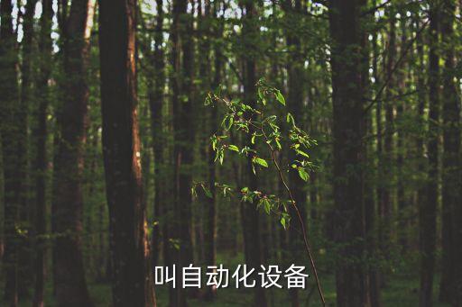 叫自動(dòng)化設(shè)備